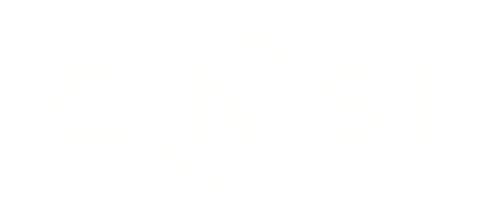 UCSB CNSI Logo