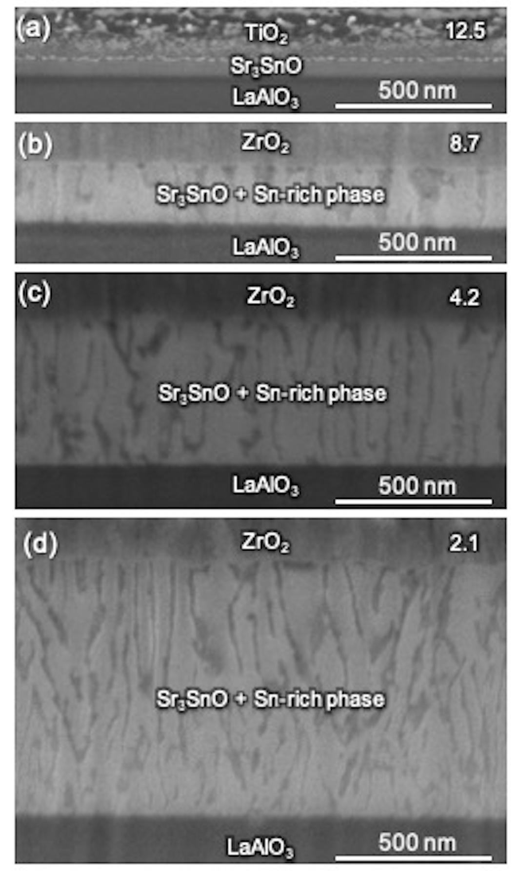 Cross-sectional SEM images of Sr3SnO 