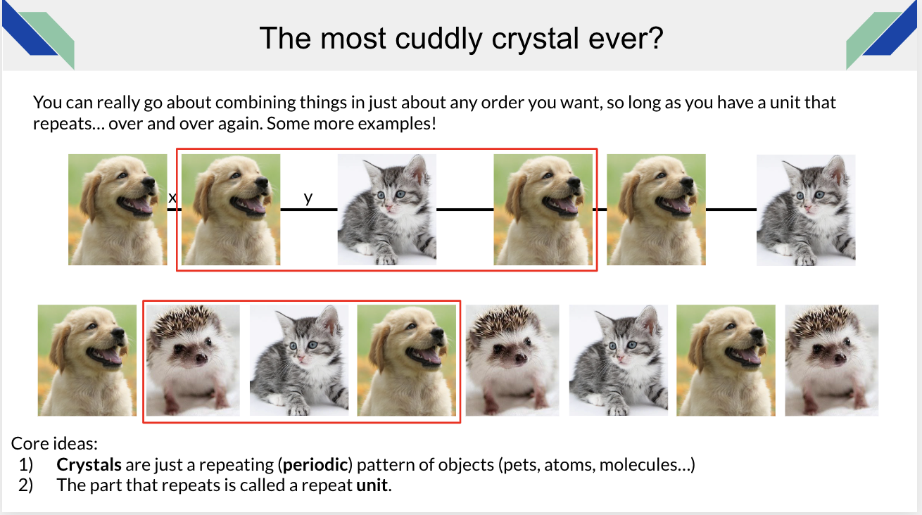 Brenden Ortiz, postdoctoral researcher, teaches students about periodic patterns and repeating units with baby animals