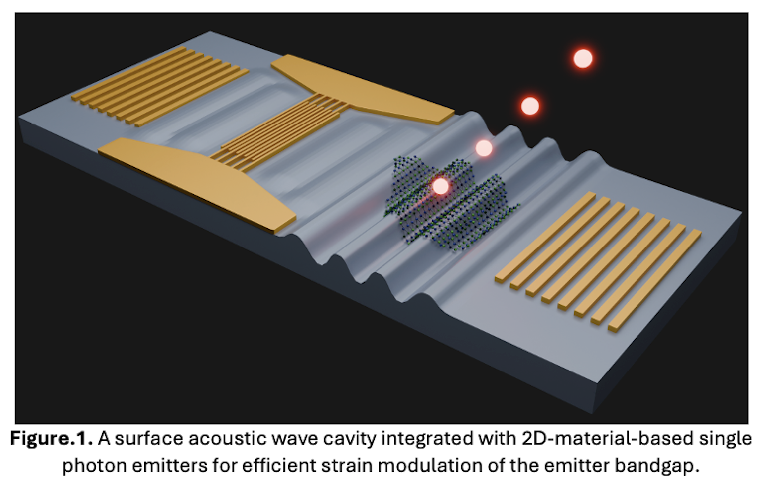 A Surface Acoustic Wave Capacity Integrated with 2D Material Based Single Photon Emitters