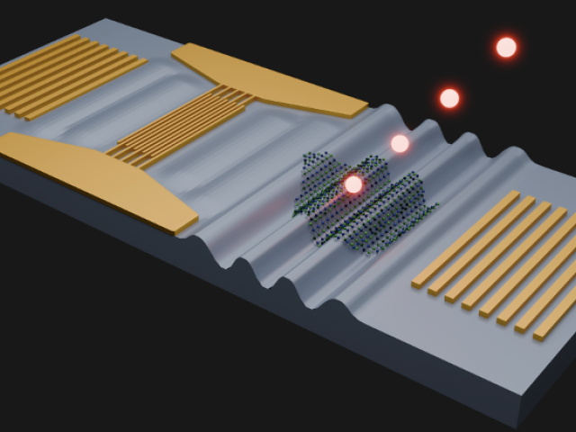 A Surface Acoustic Wave Capacity Integrated with 2D Material Based Single Photon Emitters